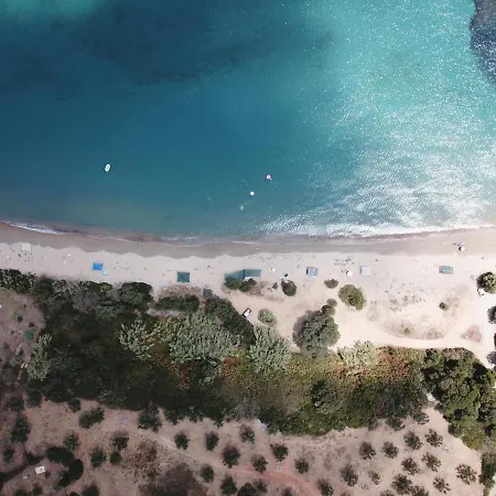 Apartament Filoxenia 8 *